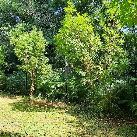 Sérénité à L'orée Des Bois Appartement *