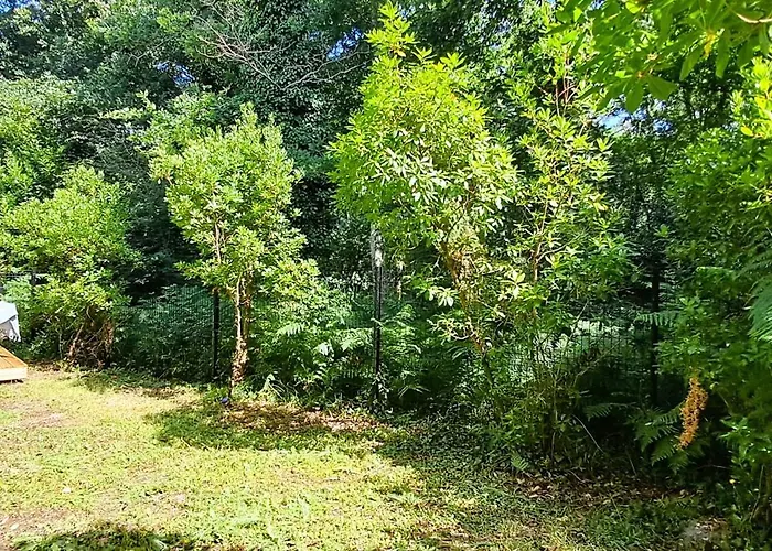 Serenite A L'oree Des Bois Apartment *